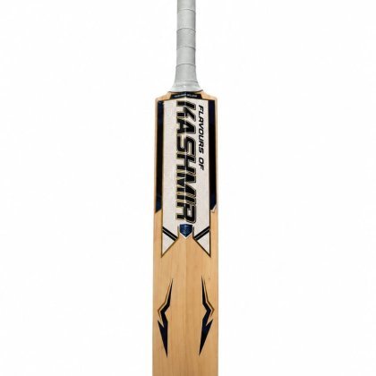 Kashmir Willow Bat